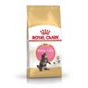Royal Canin Maine Coon kačiukas 10kg