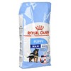 Royal Canin Maxi Junior/Puppy 15kg