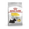 ROYAL CANIN CCN MINI DERMA 3kg, mažų veislių, suaugusių, jautrią odą turinčių šunų sausas pašaras