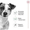 Royal Canin Mini Mature 8+ 800g