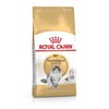 Royal Canin Norwegian Forest Cat Adult sausas maistas katėms 400g paukštiena