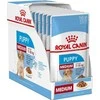 Royal Canin SHN Dog Medium Puppy Gravy 10x140 g