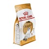 Royal Canin Ragdoll 400g