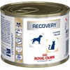 Royal Canin VD Cat/Dog Recovery konservai 195g