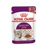 Royal Canin FHN Cat Sensory Taste Gravy 12x85 g