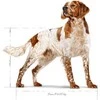 Sausas Šunų Maistas - Royal Canin Shn Medium Adult 15kg