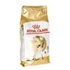 Royal Canin Siamo suaugusiems 2kg
