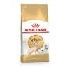 ROYAL CANIN Sphynx 2kg, sfinksų veislės suaugusių kačių sausas pašaras