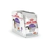 Drėgnas Kačių Maistas - Royal Canin Sterilised Gravy, 12x85g