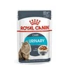 FCN Cat Urinary Care padažas 12x85 g