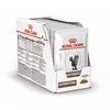 ROYAL CANIN Gastrointestinal - šlapias kačių ėdalas - 12 x 85 g