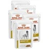 ROYAL CANIN Urinary S/O Dog Pouch - šlapias šunų maistas - 12 x 100g