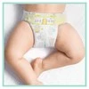 Sauskelnės Pampers Premium Care, 5 dydis, 11–16 kg, 148 vnt.