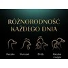 SHEBA Selection atrinkti gabalėliai paukštienos skonio padaže (40x85g) visavertis drėgnas kačių maistas