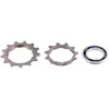 Galinis žvaigždžių blokas Shimano ALIVIO CS-HG50 10-speed-11-36T