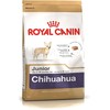 ROYAL CANIN Chihuahua junior 500g, čihuahua veislės jaunų šunų sausas pašaras