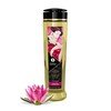 Shunga Massage Oil Amour 240ml
