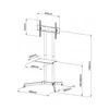 Laikiklis TECHLY 309982 Techly Mobilus stovas televizoriui LCD/LED/Plasma 30-65 60kg VESA pakreipiamas su lentyna