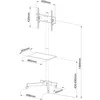 Techly ICA-TR21 televizoriaus laikiklis 139,7 cm (55") Juoda