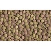 Tetra Plant Planta Start 12 tab.