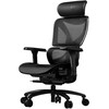 ThunderX3 XTC ergonominė ofiso kėdė, Mesh – juodos spalvos