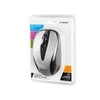TRACER Joy II RF Nano USB Sidabrinis Pelė Wireless