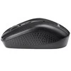 TRACER Joy II RF Nano USB Juodas Pelė Wireless