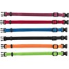 Trixie Junior Antkaklių kompl., M–L 22–35 cm/10 mm, 6 vnt. juodas, raudonas, mėlynas (pak. 6)