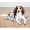 Trixie Vėsinantis kilimėlis M 50x40, baltas