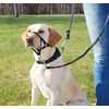 TRIXIE Top Trainer treniruočių diržai XL 46cm 13006