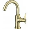 Praustuvo maišytuvas Deante Temisto BQT_M20M, Brass