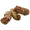 Versele-Laga nv Complete Cavia - jūrų kiaulyčių pašaras 500g