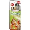 Versele Laga Bfb Plus Kft Crispy sticks traškūs dekoratyvinių triušių ir jūrų kiaulyčių gardėsiai su vaisiais 2 vnt