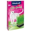 Kačių Skanėstai - Vitakraft Kačių Žolė Rinkinys 120 g