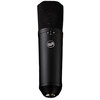 Warm Audio Šiltas audio wa-87 r2 juodas - kondensacinis mikrofonas