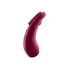 SATISFYER SEXY SECRET PANTY VIBRATOR CONNECT APP