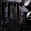 Kietasis diskas Adata XPG Gammix S70 Blade M.2 NVMe PCIe4x4 512GB