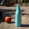 Lurch Ag Vokietija Nerūd. plieno termosinė gertuvė Lurch 0.5 l, mėtų žalios sp.