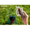 Žaidimas Schildkröt SFS Schildkröt Feed The Frog Toss