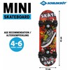 Riedlentė Hot Wheels SCHILDKRÖT FUNWHELLS Riedlentė Mini 17'' Skate It Out (510610)
