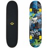 Riedlentė Element Skateboards SCHILDKRÖT FUNWHELLS Riedlentė Skateboard Slider 31'' Fast Track (510649)