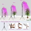 Lempa augalams AL2 4in1 Tripod