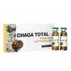 Harbin Yeekong Herb Maisto papildas ČAGA TOTAL + Herbin, 10 buteliukų po 10 ml