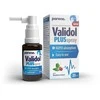 Paira Validol Plus purškalas, maisto papildas su saldikliu, 25 ml.