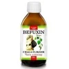 Vitateka Čaga (juodojo beržo grybo) eliksyras "Befuxin", 120ml