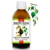 Vitateka Čaga (juodojo beržo grybo) eliksyras "Befuxin", 120ml