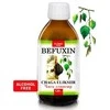 Vitateka Čaga (juodojo beržo grybo) eliksyras "Befuxin", 120ml