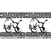 Ducati Stickers Motociklo lipdukai Ducati Monster Desmo, 2 vnt.