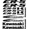 Kawasaki ER-5 motociklo lipdukai
