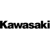 Kawasaki motociklo lipdukai